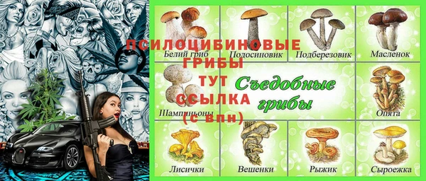 apvp Рославль