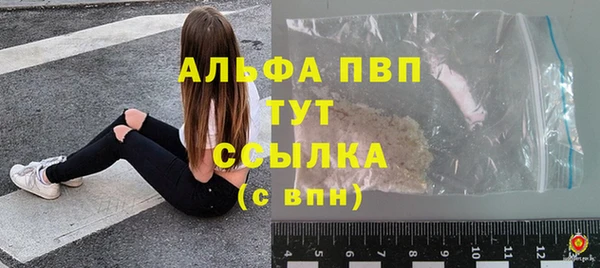 apvp Рославль