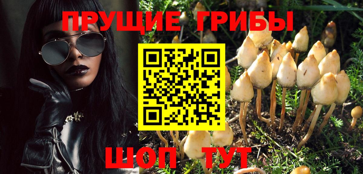 Галлюциногенные грибы Psilocybe  Вход с VPN  Фрязино 