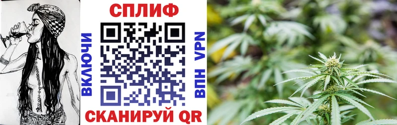 Шишки марихуана планчик  Фрязино 
